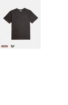 Remera Classics vintage gris